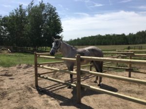 3 Rail Stacked Fence