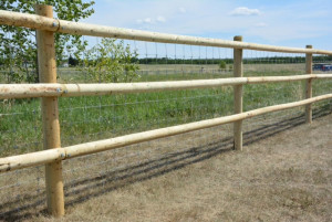 3 Rails with Paige Wire