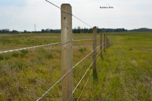 4 Strand Barbless Wire