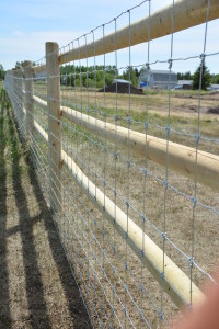 4' Hinge Knot Paige Wire