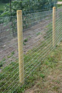 4' Horse Wire Non-Climb