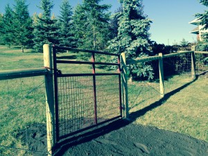 6' Meshed Gate