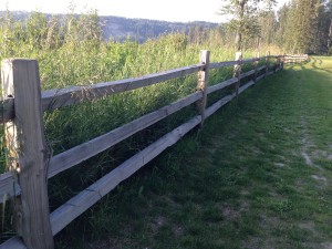 Cedar Split Rail