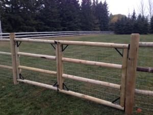 Custom Rail Gate