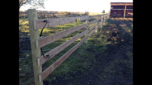 Electric Rail Fence